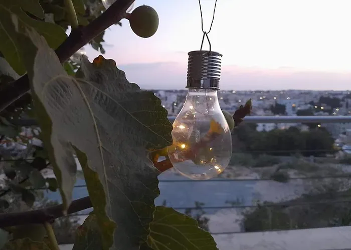 Apartmán The Paphos