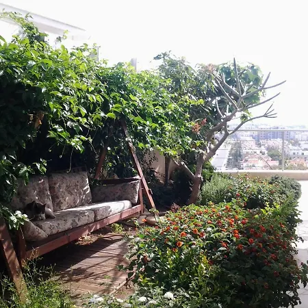 The Paphos